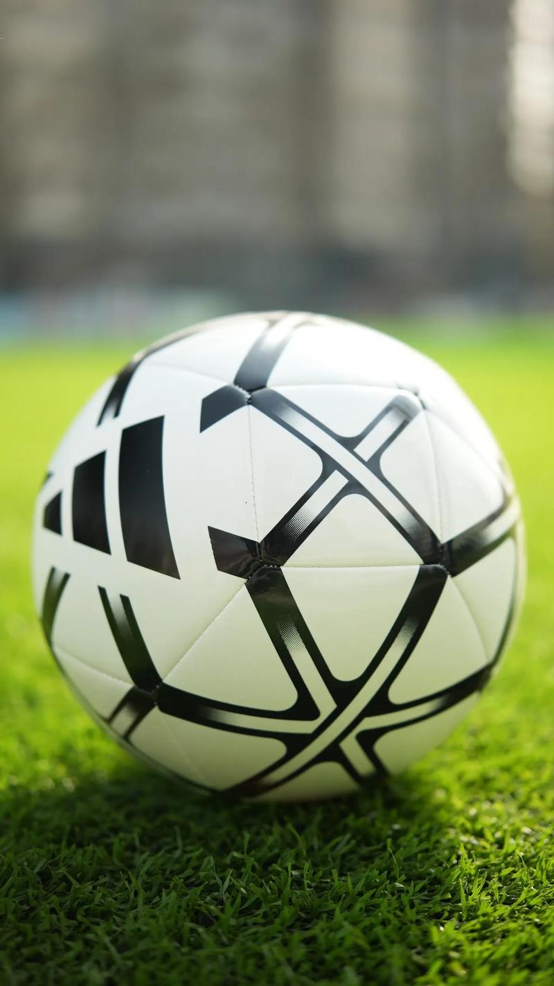 竞彩足球计算器app功能展示